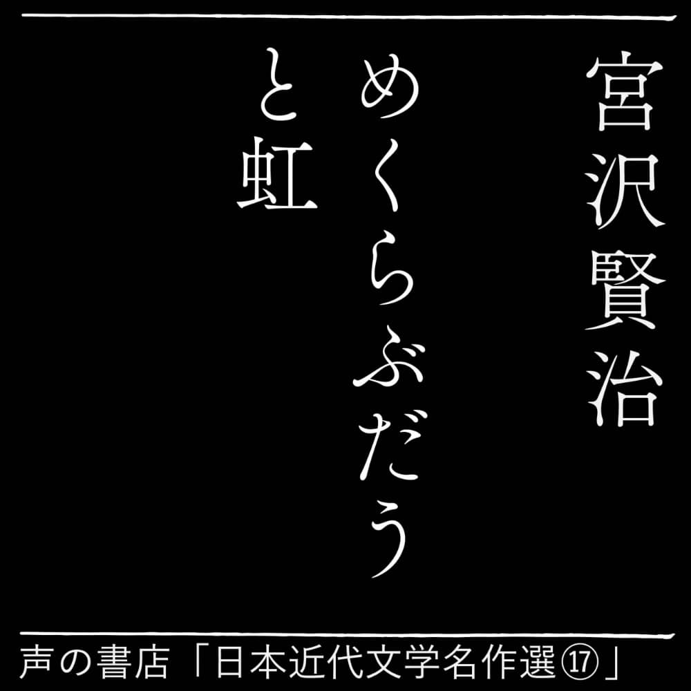 めくらぶどうと虹（１７）